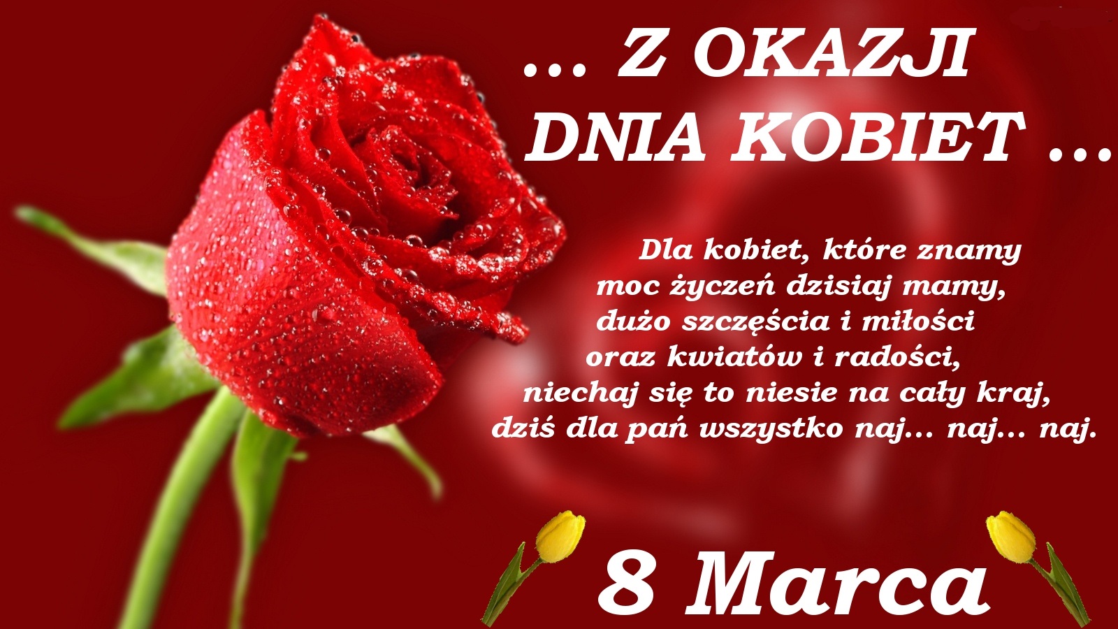 Grafika: ŻYCZENIA Z OKAZJI DNIA KOBIET