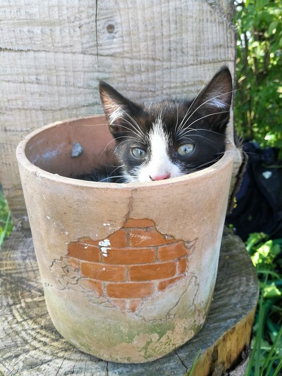 Grafika #0: GMINNY KONKURS LITERACKO - FOTOGRAFICZNY