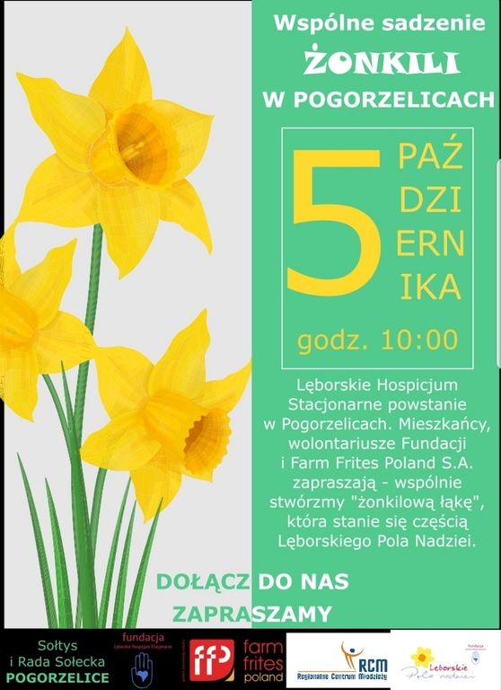 Grafika #0: Akcja sadzenia żonkili dla hospicjum w Pogorzelicach.