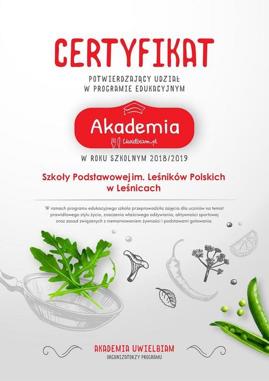 Grafika #0: Program Edukacyjny AKADEMIA UWIELBIAM