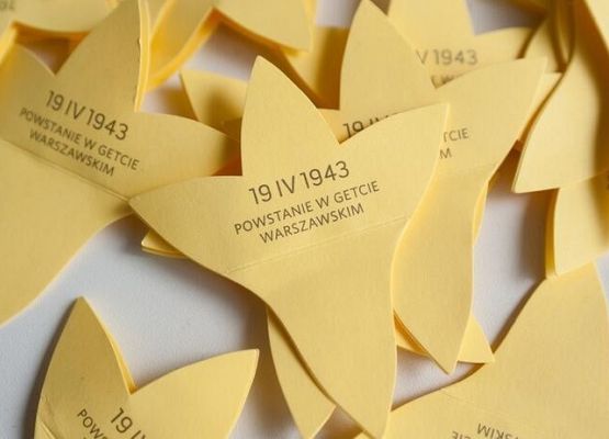 Papierowe żonkile grafika