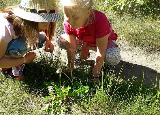 Dzieci podczas zajęć logopedycznych, które odbywały się w terenie 4