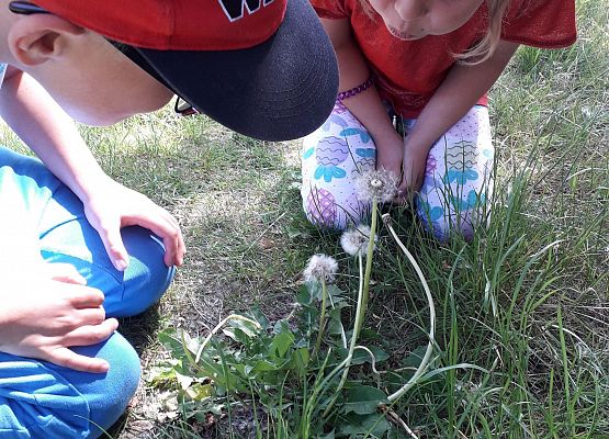 Dzieci podczas zajęć logopedycznych, które odbywały się w terenie 10