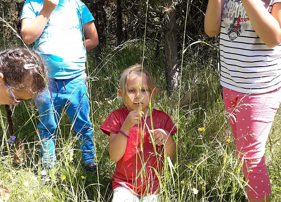 Dzieci podczas zajęć logopedycznych, które odbywały się w terenie 5