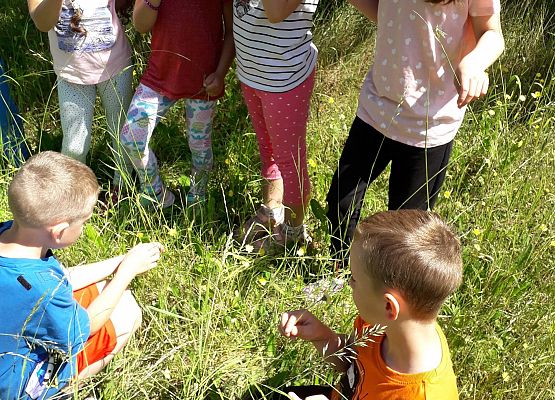 Dzieci podczas zajęć logopedycznych, które odbywały się w terenie 14