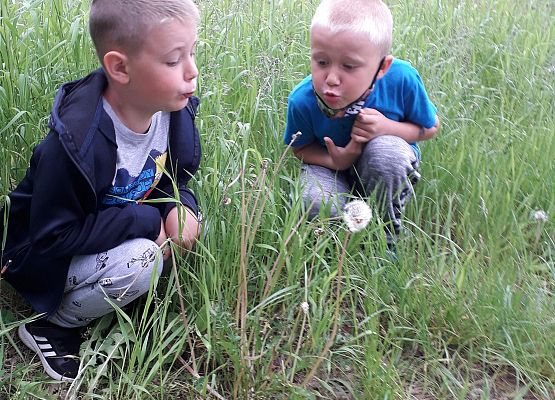 Dzieci podczas zajęć logopedycznych, które odbywały się w terenie 7