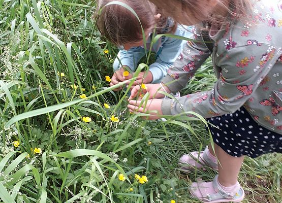 Dzieci podczas zajęć logopedycznych, które odbywały się w terenie 9