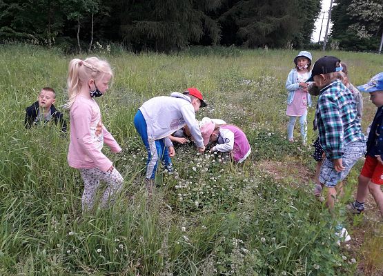 Dzieci podczas zajęć logopedycznych, które odbywały się w terenie 13