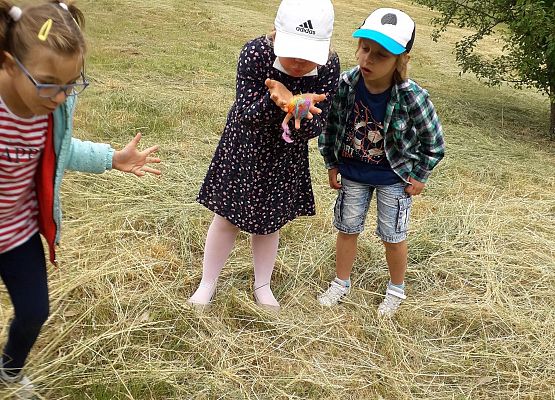 Dzieci podczas zajęć logopedycznych, które odbywały się w terenie 8