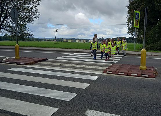 Uczniowie oczekują na możliwość przejścia przez jezdnię.