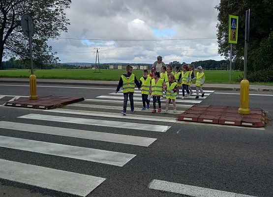 Uczniowie przechodzą przez jezdnię.