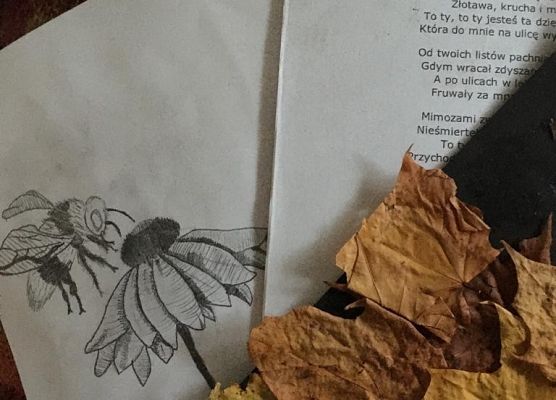 " Czytanie wierszy przeciwdeszczowych"