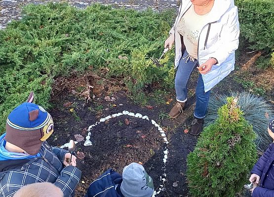 pierwszaki szadzą żonkile