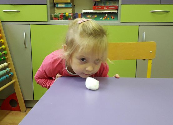 Grafika 8: LOGOPEDIA