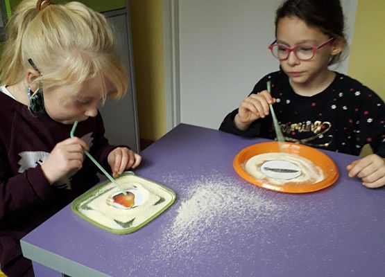 Grafika 11: LOGOPEDIA