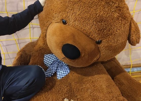 Największy i najmniejszy miś