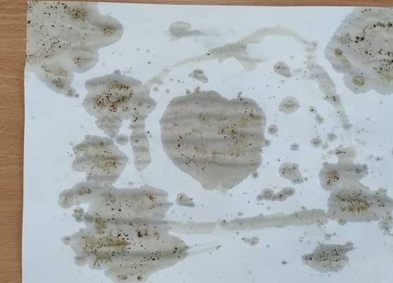 malowanie kawą Lidia  klasa 1