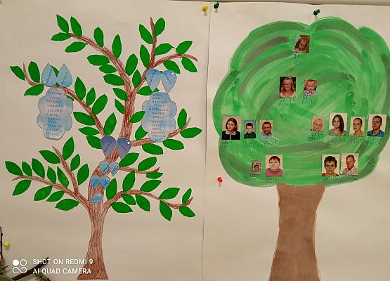 Drzewa genealogiczne grafika