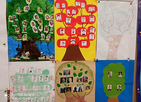 Drzewa genealogiczne grafika