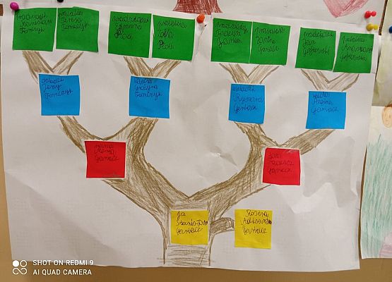 Drzewa genealogiczne grafika