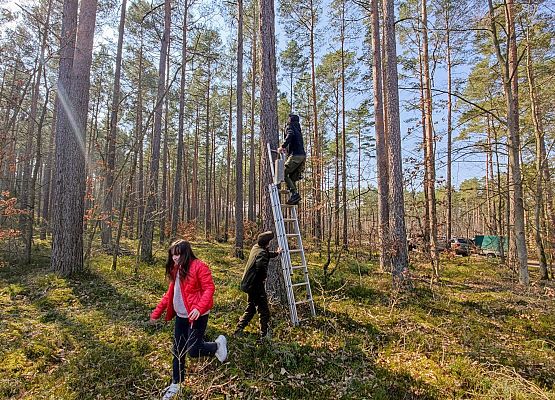 Grafika 12: Akcja NIETOPERZE :)