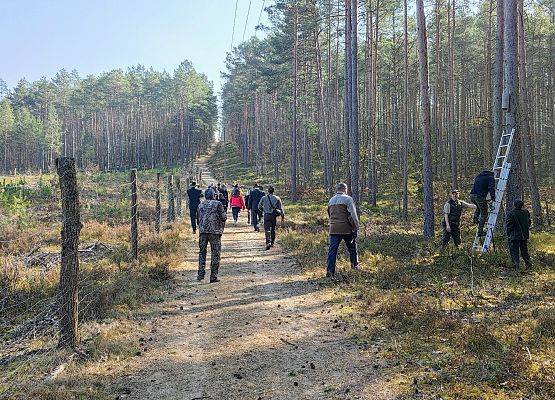 Grafika 13: Akcja NIETOPERZE :)