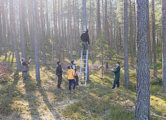 Grafika 17: Akcja NIETOPERZE :)