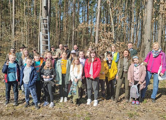 Grafika 20: Akcja NIETOPERZE :)