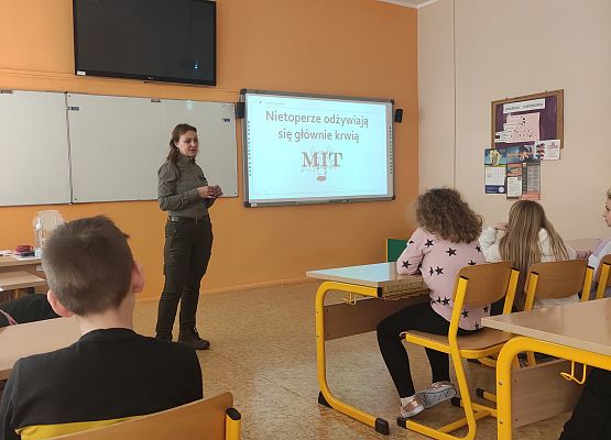 Grafika 1: Akcja NIETOPERZE :)