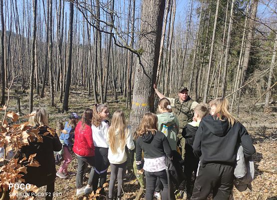 Grafika 23: Akcja NIETOPERZE :)