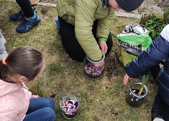 robimy ogród w słoiku