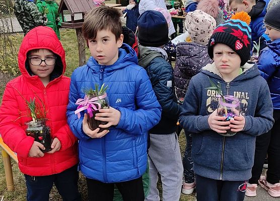 robimy ogród w słoiku