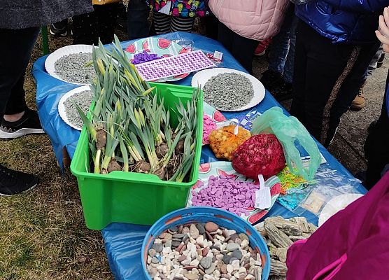 robimy ogród w słoiku