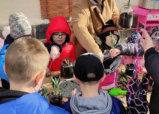 robimy ogród w słoiku