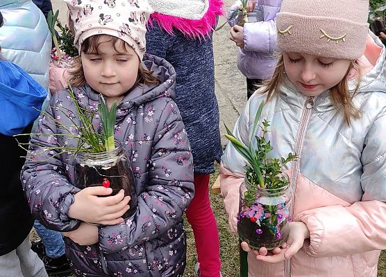 robimy ogród w słoiku