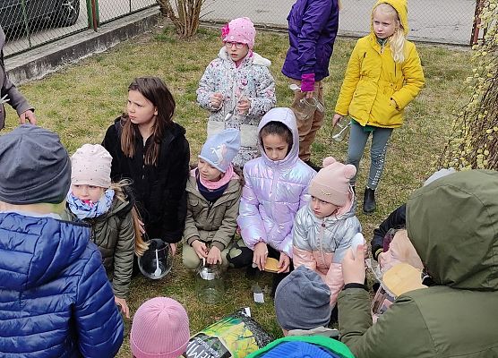 robimy ogród w słoiku