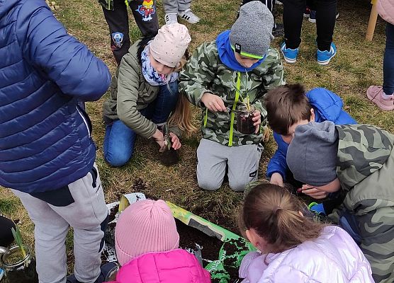 robimy ogród w słoiku