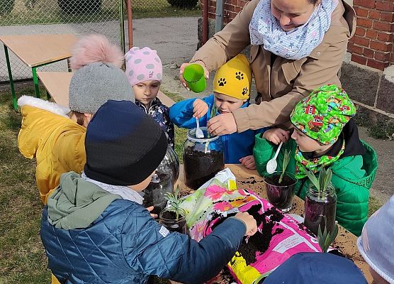 robimy ogród w słoiku