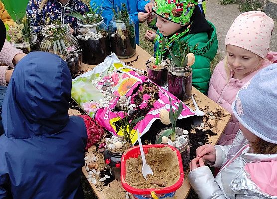 robimy ogród w słoiku