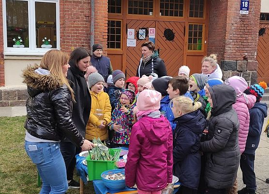 robimy ogród w słoiku