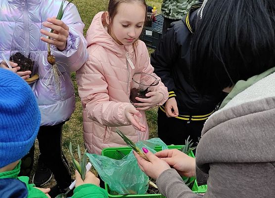 robimy ogród w słoiku