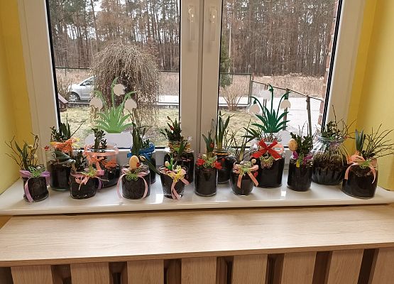 robimy ogród w słoiku