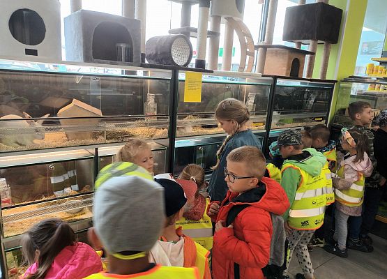 wizyta w sklepie zoologicznym