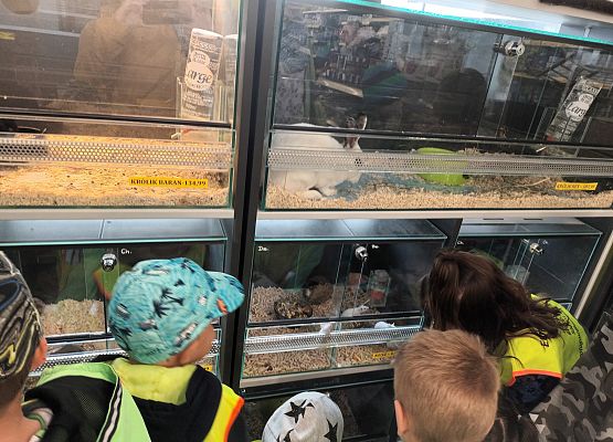 wizyta w sklepie zoologicznym