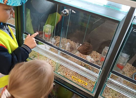 wizyta w sklepie zoologicznym