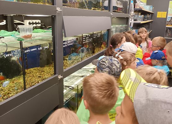 wizyta w sklepie zoologicznym