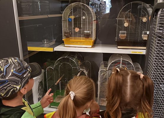 wizyta w sklepie zoologicznym