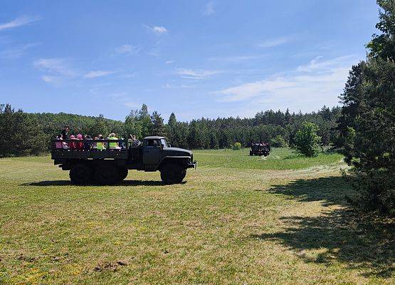 Grafika 26: Festyn Rodzinny z okazji Dnia Dziecka