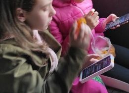 Co tam można znaleźć w telefonie?