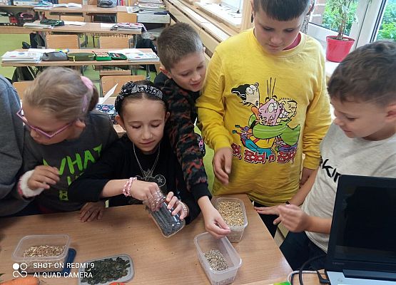 Grafika 2: Mieszkamy na wsi - poznajemy rośliny uprawne